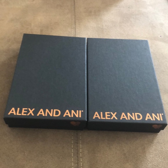 Alex and Ani - Picture 8 of 8